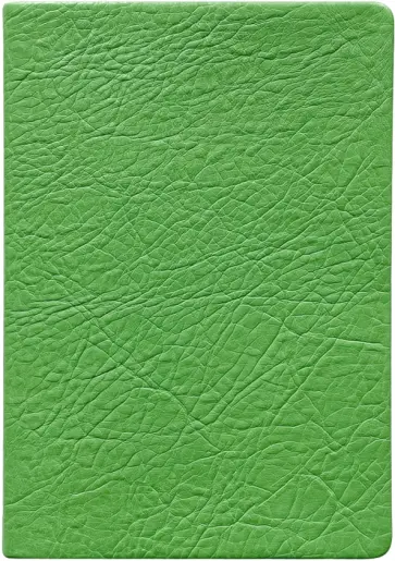 Ежедневник недатированный, 96 листов, А5, Turtle, зеленый обложка книги