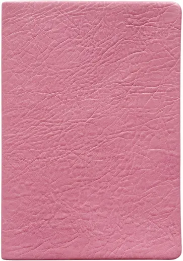 Ежедневник недатированный, 96 листов, А5, Turtle, розовый обложка книги