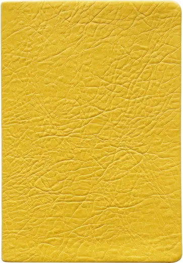 Ежедневник недатированный, 96 листов, А5, Turtle, желтый обложка книги