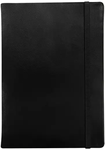 Ежедневник датированный на 2023 год Maverick, 176 листов, А5, черный обложка книги