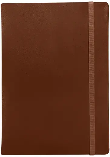 Ежедневник недатированный, 96 листов, А5, Mav, коричневый обложка книги