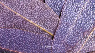 Планинг карманный недатированный Роса, 64 листа обложка книги