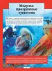 Миниатюра 5