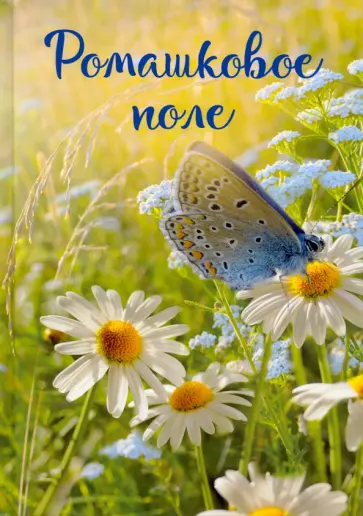 Павел Бузлуков - Записки постороннего. Ромашковое поле обложка книги