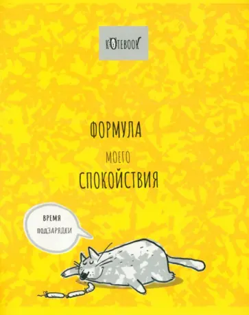 Тетрадь Формула Кота, 48 листов, клетка, в ассортименте обложка книги