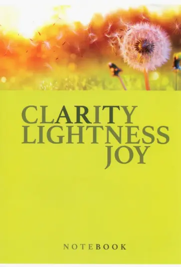 Тетрадь Думай, планируй, действуй! 80 листов, А4, клетка, в ассортименте обложка книги