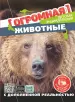 Миниатюра 1