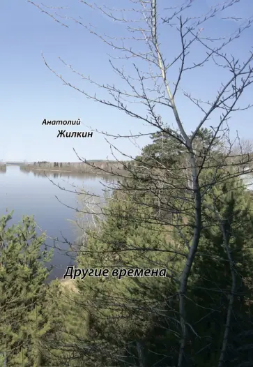Другие времена Другие времена обложка книги