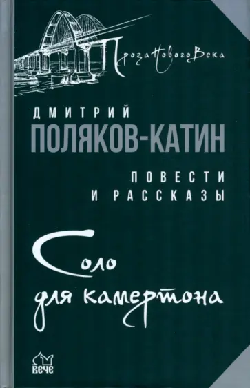 Дмитрий Поляков-Катин - Соло для камертона обложка книги