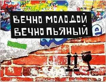 Обложка на студенческий Вечно молодой обложка книги