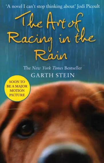 Garth Stein - The Art of Racing in the Rain обложка книги