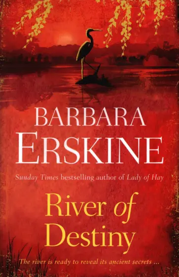 Barbara Erskine - River of Destiny обложка книги