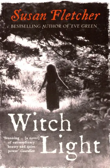 Susan Fletcher - Witch Light обложка книги