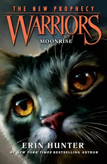 Erin Hunter - Moonrise обложка книги