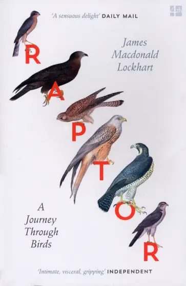 James Lockhart - Raptor. A Journey Through Birds обложка книги