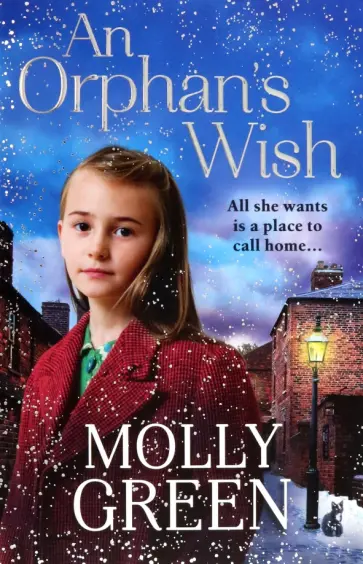 Molly Green - An Orphan’s Wish обложка книги