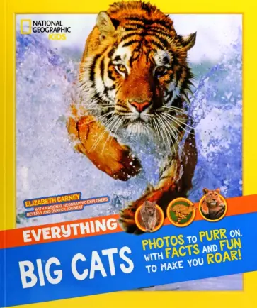 Big Cats обложка книги