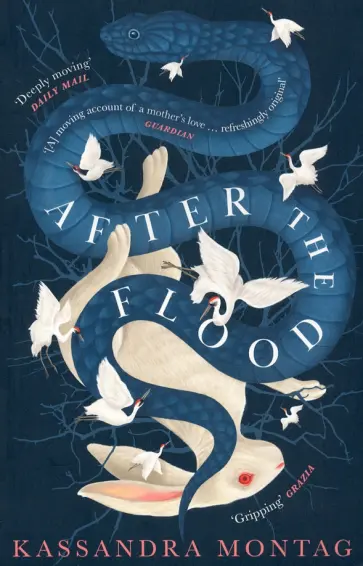 Kassandra Montag - After the Flood обложка книги