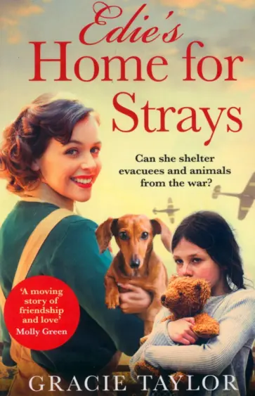 Gracie Taylor - Edie’s Home for Strays обложка книги