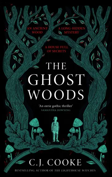 C.J. Cooke - The Ghost Woods обложка книги