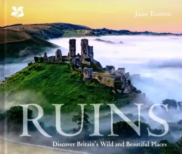 Jane Eastoe - Ruins. Discover Britain's Wild and Beautiful Places обложка книги
