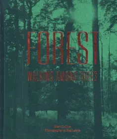 Matt Collins - Forest. Walking among trees обложка книги