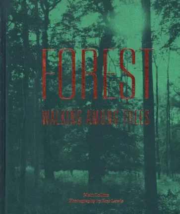 Matt Collins - Forest. Walking among trees обложка книги
