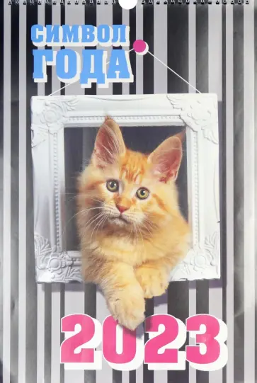 Календарь на 2023 год Символ года 2. Кошки обложка книги