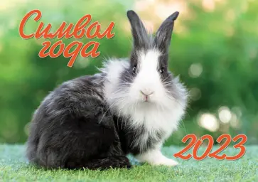 Календарь на 2023 год настенный Символ года 1. Кролик обложка книги