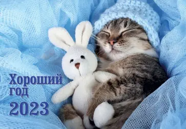 Календарь на 2023 год настенный Хороший год обложка книги