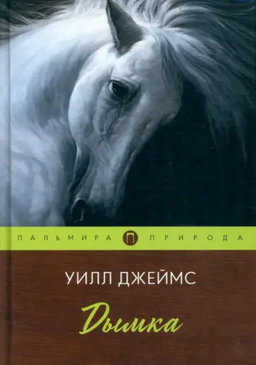 Уилл Джеймс - Дымка обложка книги