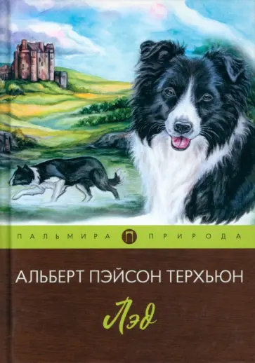 Альберт Терхьюн - Лэд обложка книги
