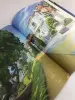 Миниатюра 5