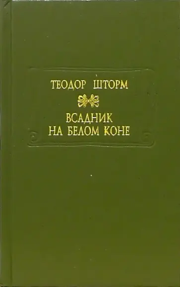 Теодор Шторм - Всадник на белом коне обложка книги