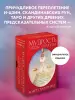 Миниатюра 4