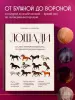 Миниатюра 3