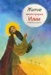 Миниатюра 1