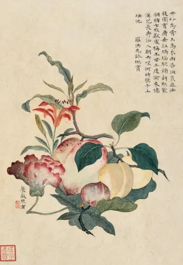 Блокнот Абрикос, инжир, персик, лилия обложка книги