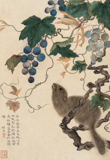 Блокнот Белка, виноград, богомолы обложка книги