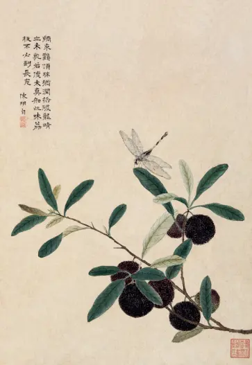 Блокнот Стрекоза обложка книги