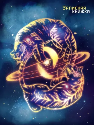 Записная книжка Тигры, 64 листа, клетка обложка книги