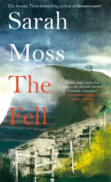 Sarah Moss - The Fell обложка книги