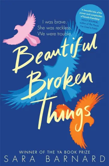 Sara Barnard - Beautiful Broken Things обложка книги