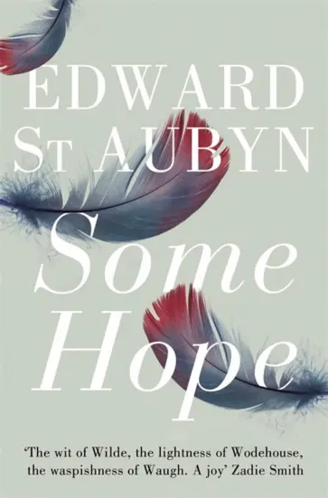 Aubyn St - Some Hope обложка книги