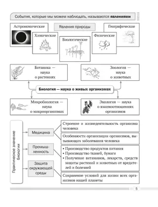 Биология 6 класс Опорные конспекты Схемы и таблицы