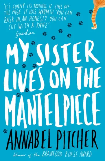 Annabel Pitcher - My Sister Lives on the Mantelpiece обложка книги