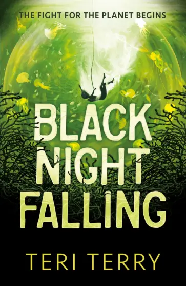 Teri Terry - Black Night Falling обложка книги