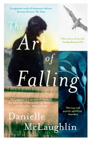 Danielle McLaughlin - The Art of Falling обложка книги