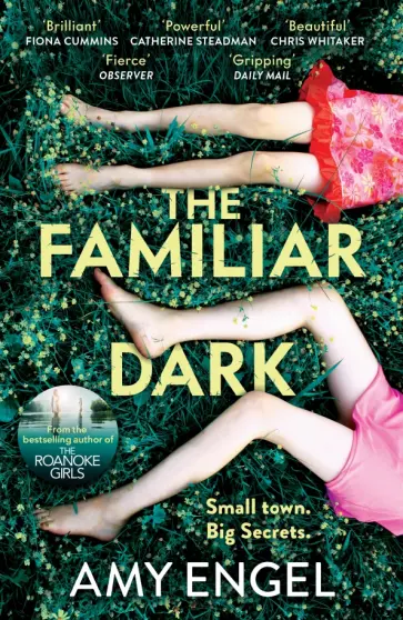 Amy Engel - The Familiar Dark обложка книги