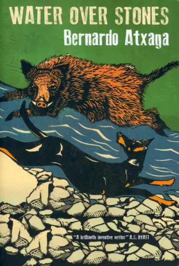 Bernardo Atxaga - Water over Stones обложка книги